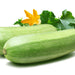 Bianco Lungo, Zucchini Squash, - BoxGardenSeedsLLC -Squash,Pumpkins - Seeds