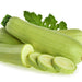 Bianco Lungo, Zucchini Squash, - BoxGardenSeedsLLC -Squash,Pumpkins - Seeds