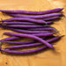 Celine, Bush Beans, - BoxGardenSeedsLLC -Beans / Dry Beans - Seeds