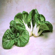 Pak Choy Extra Dwarf, Chinese Cabbage - BoxGardenSeedsLLC - Cabbage, Kale - Seeds - USA Seller, Thank you for shopping here today, Naturally Grown GMO Free Seeds, Heirloom Open Pollinated Seeds, Fresh Top Quality Premium Seeds