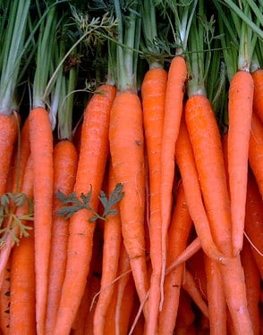 - BoxGardenSeedsLLC - Tendersweet, Carrot, - Carrots - Seeds
