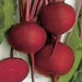 Detroit Dark Red, Beets, -- BoxGardenSeedsLLC -Beet,Turnips,Parsnips - Seeds