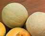 Hales Best Jumbo, Cantaloupe, -- BoxGardenSeedsLLC -Melons, Cantaloupe - Seeds