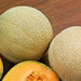 Hales Best Jumbo, Cantaloupe, - BoxGardenSeedsLLC -Melons, Cantaloupe - Seeds