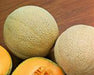 - BoxGardenSeedsLLC - Hales Best Jumbo, Cantaloupe, - Melons, Cantaloupe - Seeds