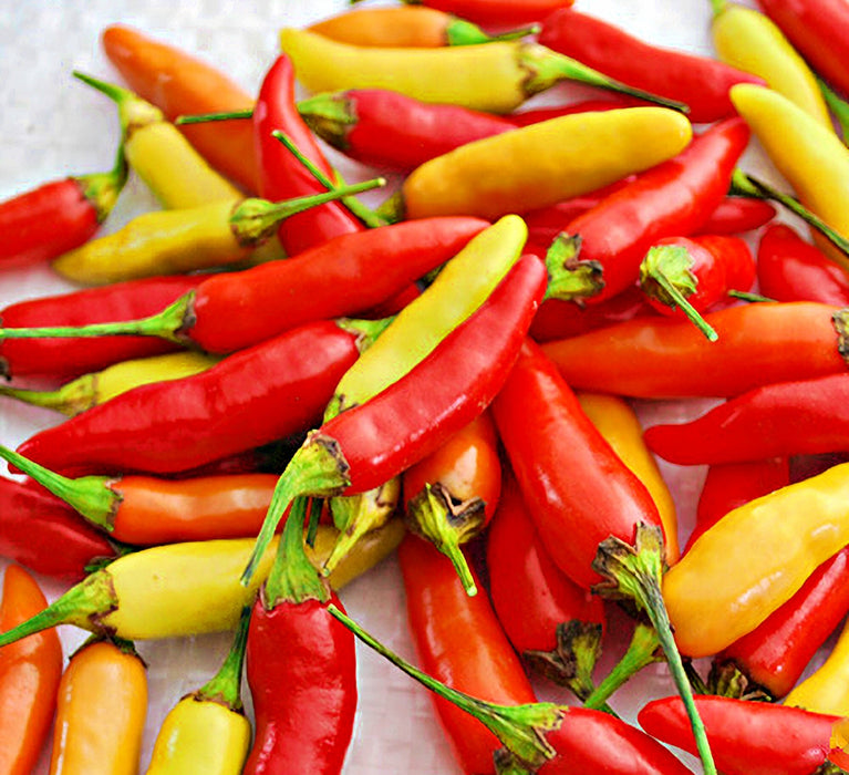 Tabasco, Hot Pepper, -- BoxGardenSeedsLLC -Peppers,Eggplants - Seeds