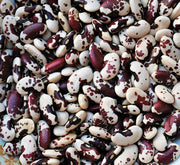 Jacobs Cattle, Dry Pole Bean - BoxGardenSeedsLLC - Beans / Dry Beans - Seeds - Thank you for shopping here today, Non GMO Seeds, Naturally Grown Seeds, Grown to Organic Standards, Heirloom Seeds, Open Pollinated Seeds, Fresh Premier Seeds, USA Seller