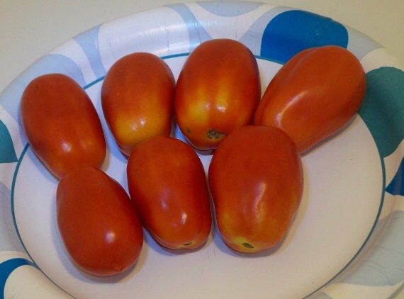 Mountain Roma Paste, Tomato - BoxGardenSeedsLLC - Tomatoes,Tomatillos - Seeds - 