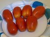 Mountain Roma Paste, Tomato, -- BoxGardenSeedsLLC -Tomatoes,Tomatillos - Seeds