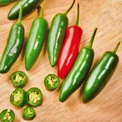 Serrano, Hot Pepper, - BoxGardenSeedsLLC -Peppers,Eggplants - Seeds