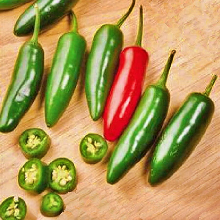 Serrano, Hot Pepper, -- BoxGardenSeedsLLC -Peppers,Eggplants - Seeds