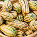 Bush Delicata, Winter Squash, - BoxGardenSeedsLLC -Squash,Pumpkins - Seeds