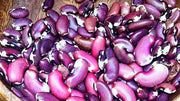 1500 Year Old Cave, Dry Pole Bean - BoxGardenSeedsLLC - Beans / Dry Beans - Seeds - Thank you for shopping here today, Non GMO Seeds, Naturally Grown Seeds, Grown to Organic Standards, Heirloom Seeds, Open Pollinated Seeds, Fresh Premier Seeds, USA Seller