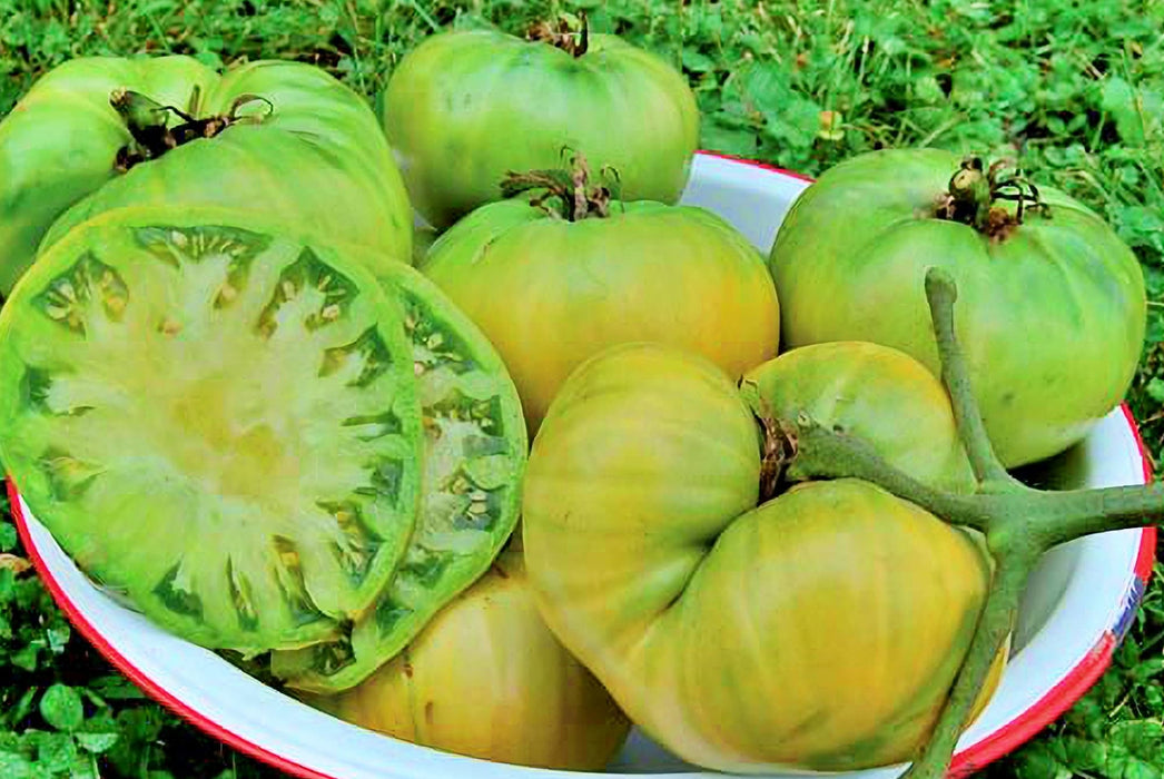 Aunt Ruby's German Green, Tomato, -- BoxGardenSeedsLLC -Tomatoes,Tomatillos - Seeds