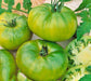 - BoxGardenSeedsLLC - Aunt Ruby's German Green, Tomato, - Tomatoes,Tomatillos - Seeds