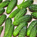 Parisian Pickling, Cucumber, - BoxGardenSeedsLLC -Cucumbers - Seeds