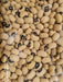 California Black-Eye (Cowpeas), Dry Bush Bean, -- BoxGardenSeedsLLC -Beans / Dry Beans - Seeds