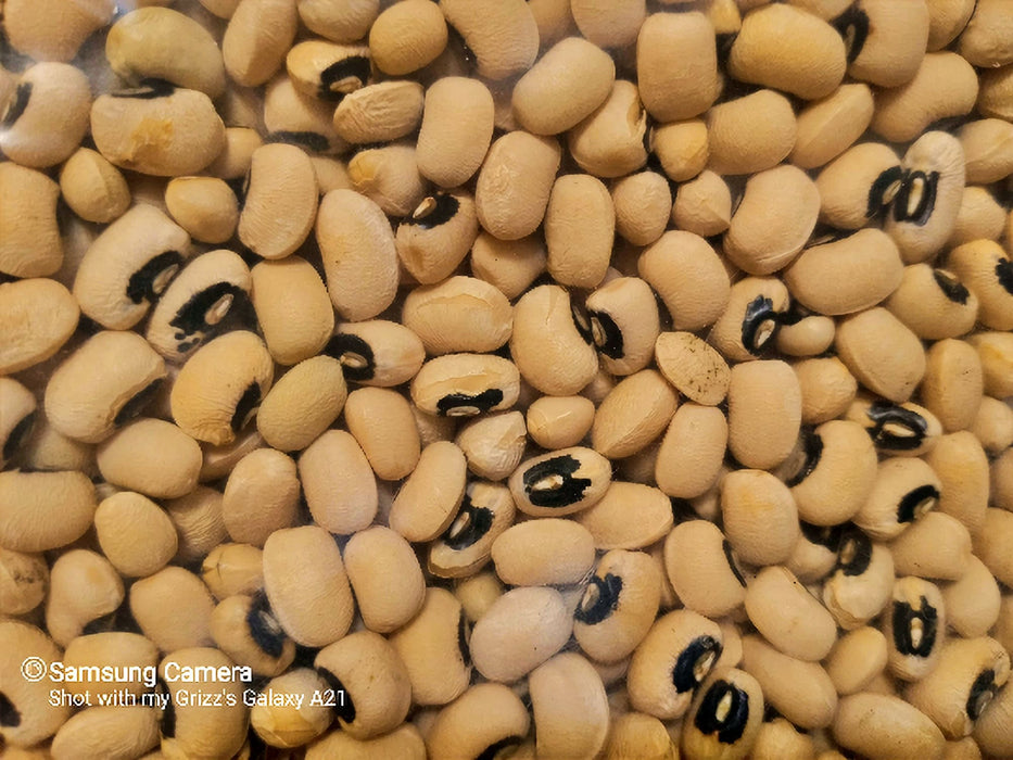 California Black-Eye (Cowpeas), Dry Bush Bean, -- BoxGardenSeedsLLC -Beans / Dry Beans - Seeds