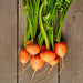 Parisian, Carrot, - BoxGardenSeedsLLC -Carrots - Seeds