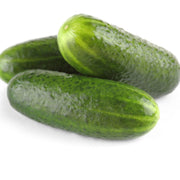 Addis, Cucumber - BoxGardenSeedsLLC - Cucumbers - Seeds - USA Seller, Thank you for shopping here today, Naturally Grown GMO Free Seeds, Heirloom Open Pollinated Seeds, Fresh Top Quality Premium Seeds