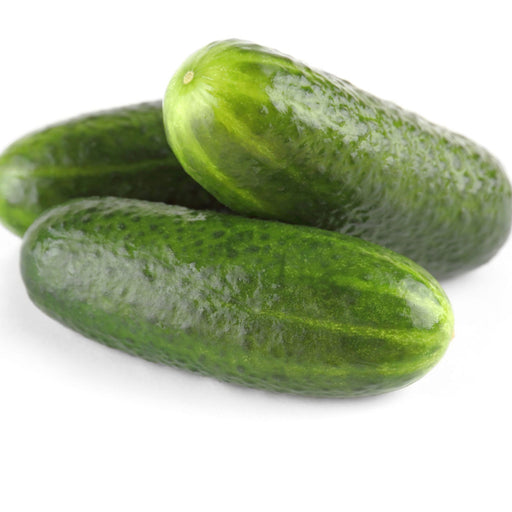 Addis, Cucumber, -- BoxGardenSeedsLLC -Cucumbers - Seeds