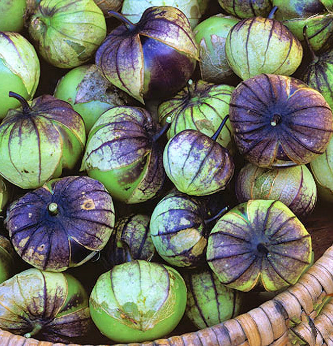 Purple de Milpa, Tomatillo -- BoxGardenSeedsLLC -Tomatoes,Tomatillos - Seeds