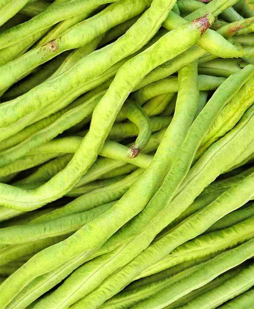 California Black-Eye (Cowpeas), Dry Bush Bean, -- BoxGardenSeedsLLC -Beans / Dry Beans - Seeds