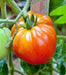 Old German, Tomato, -- BoxGardenSeedsLLC -Tomatoes,Tomatillos - Seeds