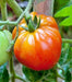 Old German, Tomato - BoxGardenSeedsLLC - Tomatoes,Tomatillos - Seeds - 
