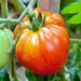 Old German, Tomato, - BoxGardenSeedsLLC -Tomatoes,Tomatillos - Seeds