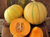 Charentais, Melon, -- BoxGardenSeedsLLC -Melons, Cantaloupe - Seeds