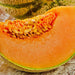 Charentais, Melon, - BoxGardenSeedsLLC -Melons, Cantaloupe - Seeds