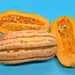 Bush Delicata, Winter Squash, - BoxGardenSeedsLLC -Squash,Pumpkins - Seeds