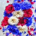 Patriot, Cornflower Mix, - BoxGardenSeedsLLC -Culinary/Medicinal Herbs - Seeds