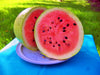 Bozeman, Watermelon, -- BoxGardenSeedsLLC -Melons, Cantaloupe - Seeds