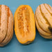 Bush Delicata, Winter Squash, - BoxGardenSeedsLLC -Squash,Pumpkins - Seeds