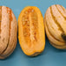 Bush Delicata, Winter Squash, - BoxGardenSeedsLLC -Squash,Pumpkins - Seeds