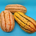 Bush Delicata, Winter Squash, - BoxGardenSeedsLLC -Squash,Pumpkins - Seeds