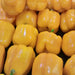 Golden Cal Wonder, Sweet Bell Pepper, - BoxGardenSeedsLLC -Peppers,Eggplants - Seeds