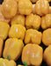 Golden Cal Wonder, Sweet Bell Pepper, -- BoxGardenSeedsLLC -Peppers,Eggplants - Seeds