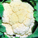 Amazing, Cauliflower, - BoxGardenSeedsLLC -Broccoli,Cauliflower - Seeds