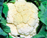 Amazing, Cauliflower, -- BoxGardenSeedsLLC -Broccoli,Cauliflower - Seeds