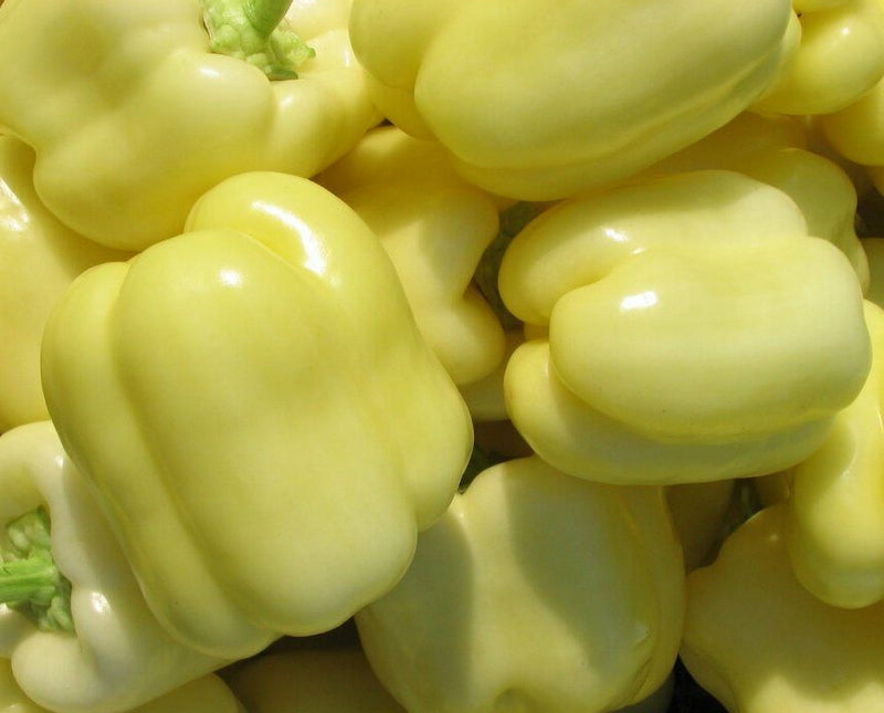 White Cloud, Sweet Bell Pepper - BoxGardenSeedsLLC - Peppers,Eggplants - Seeds - More Seeds Per Packet, USA Seller, Thank you for shopping here today, Naturally Grown GMO Free Seeds, Heirloom Open Pollinated Seeds, Fresh Top Quality Premium Seeds