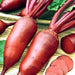 Cylindra, Beets, - BoxGardenSeedsLLC -Beet,Turnips,Parsnips - Seeds