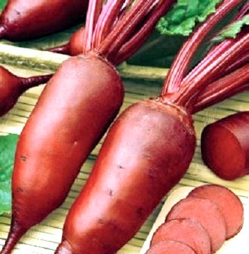 Cylindra, Beets, -- BoxGardenSeedsLLC -Beet,Turnips,Parsnips - Seeds