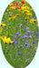 Western Wildflower, Mix, -- BoxGardenSeedsLLC -Culinary/Medicinal Herbs - Seeds