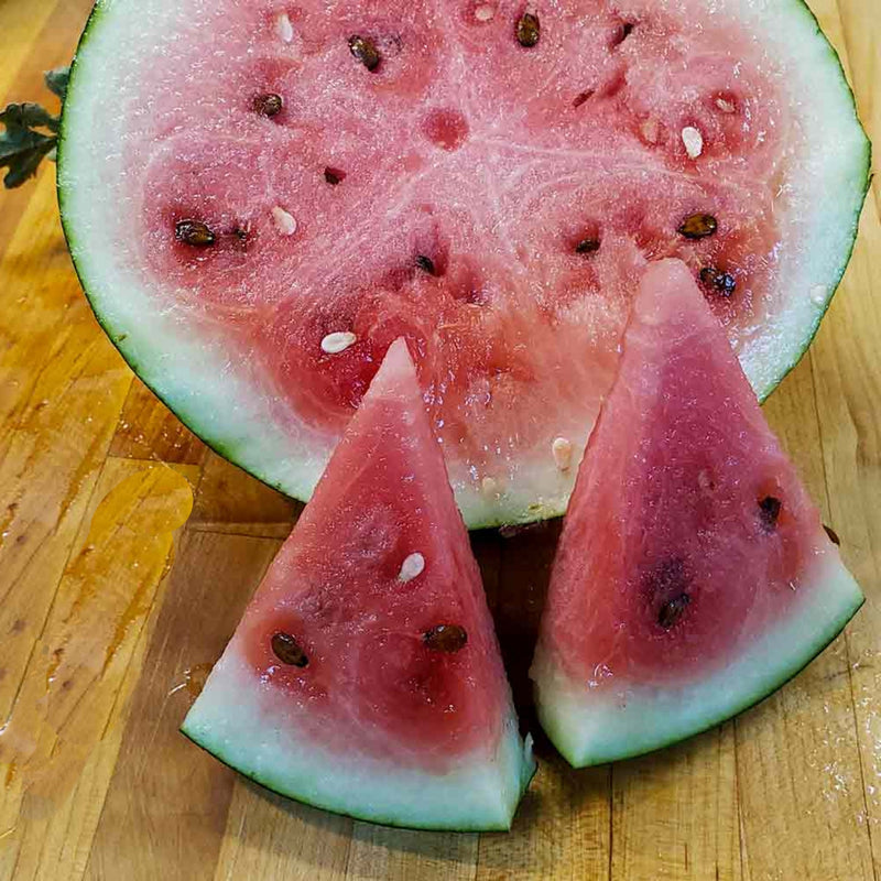 Katanya, Watermelon - BoxGardenSeedsLLC - Melons, Cantaloupe - Seeds - USA Seller, Thank you for shopping here today, Naturally Grown GMO Free Seeds, Heirloom Open Pollinated Seeds, Fresh Top Quality Premium Seeds