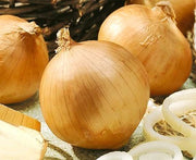 Utah Yellow Sweet Spanish, Onion - BoxGardenSeedsLLC - Onions,Leeks - Seeds - USA Seller, Thank you for shopping here today, Naturally Grown GMO Free Seeds, Heirloom Open Pollinated Seeds, Fresh Top Quality Premium Seeds