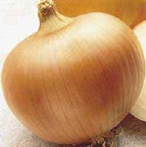 Utah Yellow Sweet Spanish, Onion, -- BoxGardenSeedsLLC -Onions,Leeks - Seeds