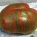 Large Barred Boar, Tomato, - BoxGardenSeedsLLC -Tomatoes,Tomatillos - Seeds